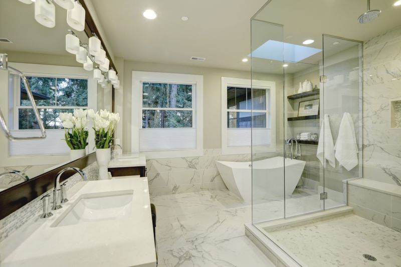 Stylish Shower and Tub Combination